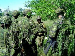 Har du din framtida utbildning inom Försvarsmakten?
