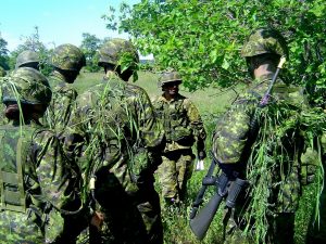 Militären och dess betydelse i omvärlden